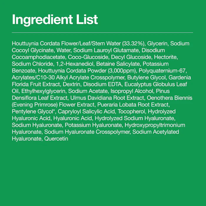 ANUA Heartleaf Quercetinol Pore Deep Cleansing Foam 150ml