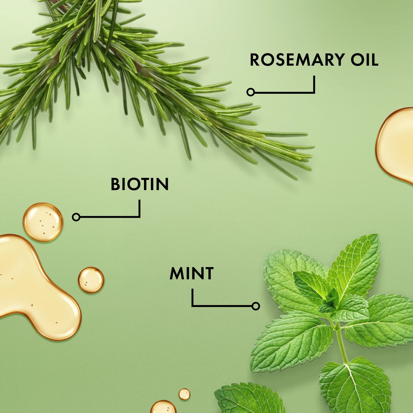MIELLE Rosemary Mint Scalp & Hair Strengthening Oil
